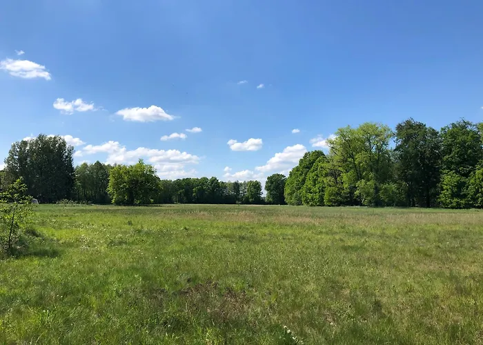 Brandenburgapartments-potsdam * Stulpe