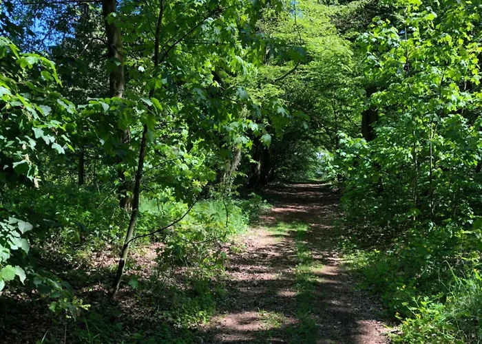 Brandenburgapartments-potsdam Stulpe